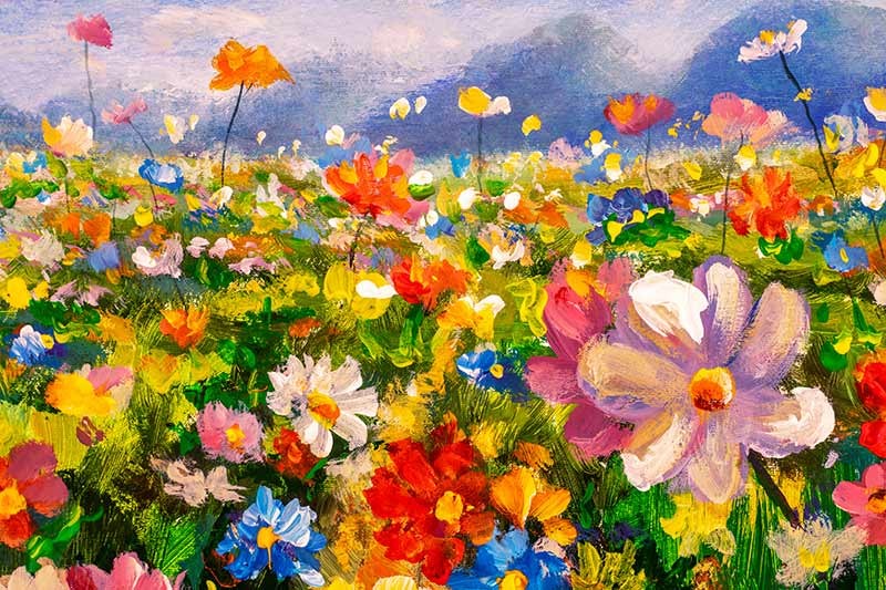 Łąka pełna kolorowych kwiatów - obrazy, fototapety, plakaty